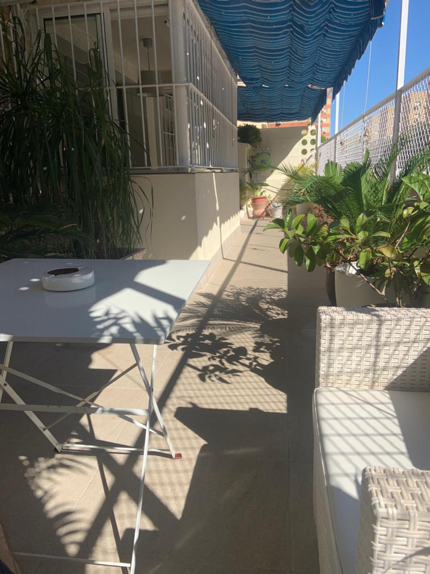 Apartamento Jardin Cerca Del Centro Sevilla Eksteriør bilde